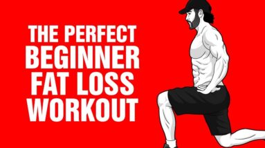 The Best Beginner Fat Loss Workout - 100% Bodyweight Workout - Sixpack Factory