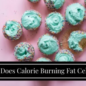 What Does Calorie Burning Fat Cells—Is This the Switch for Weight Loss Mean?
