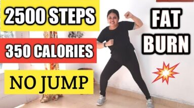 Full Body Fat Burn AT HOME | AEROBICS WORKOUT FOR WEIGHT LOSS | NO JUMP CARDIO WORKOUT CHALLENGE