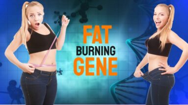 how to turn on your fat burning gene weight loss program fitera