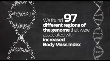 Is obesity in our genes? Study strengthens genetic link to body size