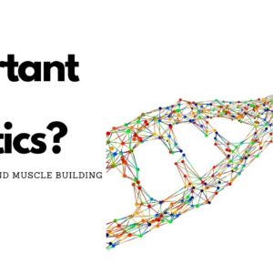 How important are genetics for weight loss and gaining muscle? (from the average joe's perspective)