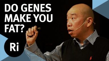 Do Your Genes Make You Fat? - with Giles Yeo