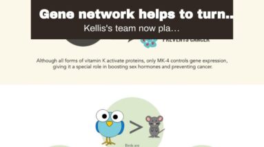 Gene network helps to turn white fat into beneficial calorie Can Be Fun For Everyone