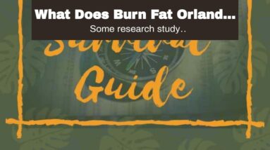What Does Burn Fat Orlando: Home Page Do?