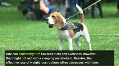 The Greatest Guide To Where to buy Meticore weight loss pill - Page 1 - Publitas