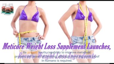 8 Simple Techniques For Meticore Supplement Launches, Review Weight Loss
