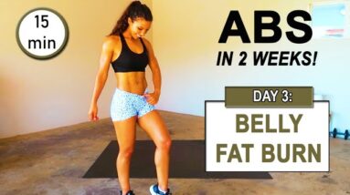 GET ABS IN 2 WEEKS | Abs Workout Challenge DAY 3: 15 Minute Exercise Routine To Lose Belly Fat