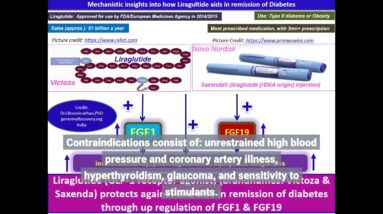 Some Known Factual Statements About Prescription Weight-Loss Shot - Saxenda (liraglutide