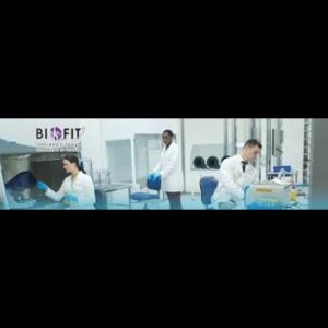 Does Biofit Really Work?