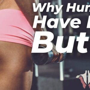 Why Humans Have Big Butts | Gluteal Anatomy