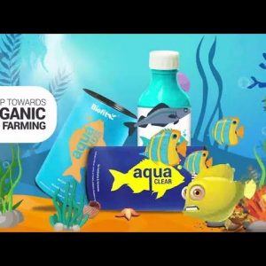 Organic Fish Farming I Biofit Aqua I માછલી પાલન I માછલીઓનો  ખોરાક I Fish, Shrimp, Prawns and Crab