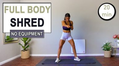 20 min Full Body HIIT Workout No Equipment | FULL BODY SHRED | At Home Workout