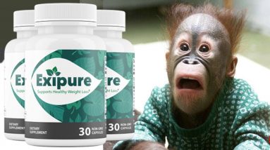 Exipure Review {Amazing} Weight Loss Pills