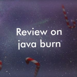 Java Burn Ingredients