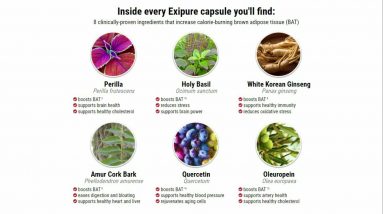 Exipure Reviews: What are Customers Saying? Critical Risks Found!