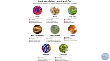 Exipure   ⚠ THE TRUTH   Exipure Review   Exipure Supplement   Exipure Reviews   Exipure Weight Loss
