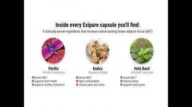 A Secret For Healthy Weight Loss Naturally (EXIPURE)