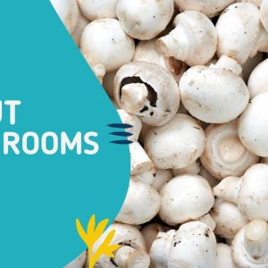 Fun Facts about Mushrooms  (Free Smoothie Recipe) #shorts