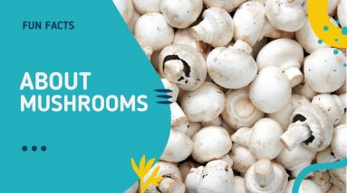 Fun Facts about Mushrooms  (Free Smoothie Recipe) #shorts