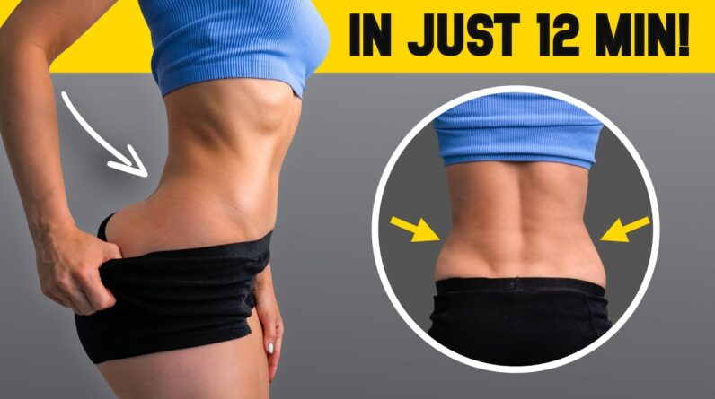 LOSE LOVE HANDLES & SIDE FAT - Ab Workout for Obliques & Side Belly Fat, No Equipment, At Home