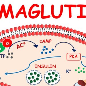 Semaglutide  - Mechanism, precautions & side effects