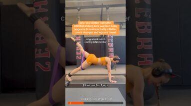 pov: you do this today and get 👆/ programs coming in November  #workout #core #postpartum