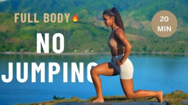 20 Minute NO JUMPING HIIT Workout - No Equipment - Full Body Low Impact, Sweaty Home Workout